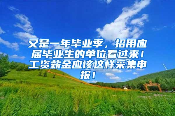 又是一年毕业季，招用应届毕业生的单位看过来！工资薪金应该这样采集申报！