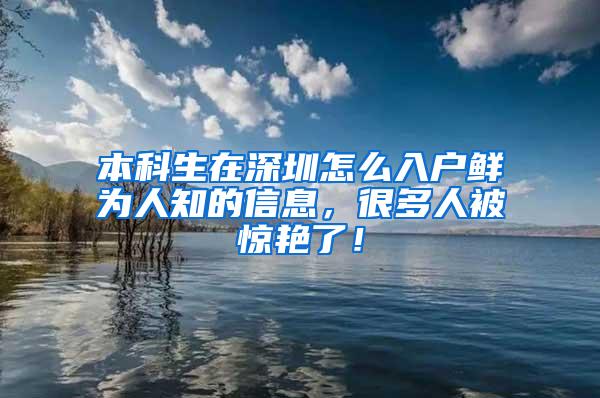 本科生在深圳怎么入户鲜为人知的信息，很多人被惊艳了！