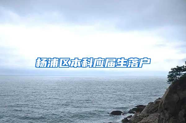 杨浦区本科应届生落户