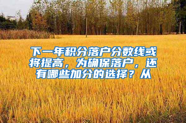 下一年积分落户分数线或将提高，为确保落户，还有哪些加分的选择？从