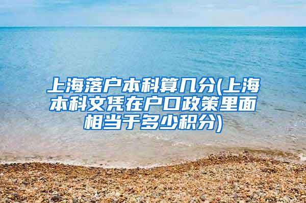 上海落户本科算几分(上海本科文凭在户口政策里面相当于多少积分)