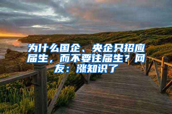 为什么国企、央企只招应届生，而不要往届生？网友：涨知识了