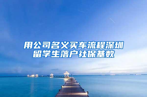 用公司名义买车流程深圳留学生落户社保基数