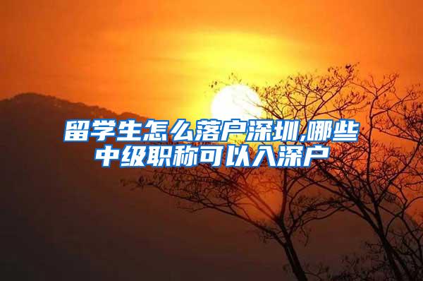 留学生怎么落户深圳,哪些中级职称可以入深户