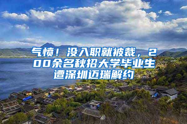 气愤！没入职就被裁，200余名秋招大学毕业生遭深圳迈瑞解约