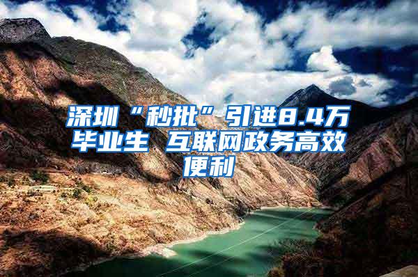 深圳“秒批”引进8.4万毕业生 互联网政务高效便利