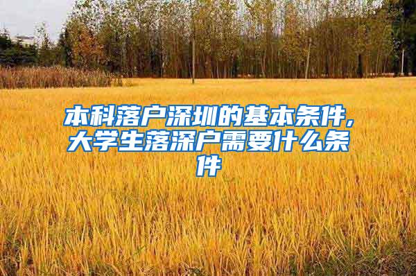 本科落户深圳的基本条件,大学生落深户需要什么条件