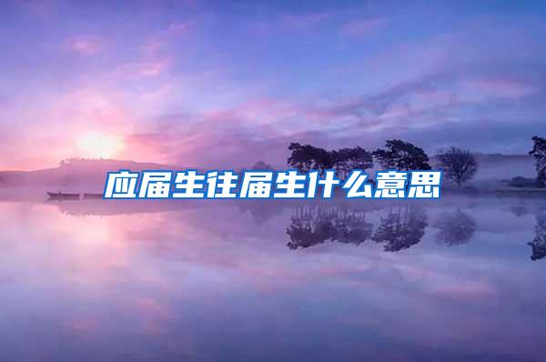 应届生往届生什么意思