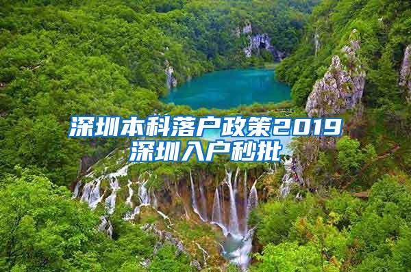 深圳本科落户政策2019深圳入户秒批