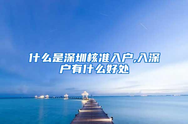 什么是深圳核准入户,入深户有什么好处