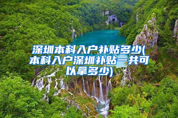 深圳本科入户补贴多少(本科入户深圳补贴一共可以拿多少)