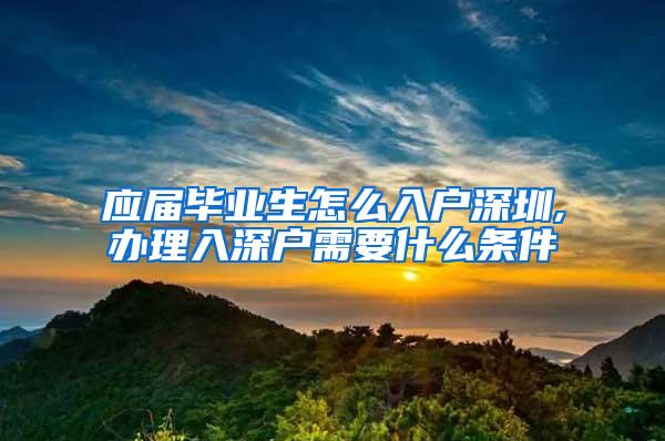 应届毕业生怎么入户深圳,办理入深户需要什么条件