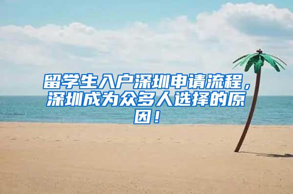 留学生入户深圳申请流程，深圳成为众多人选择的原因！