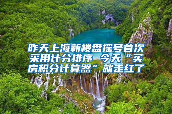 昨天上海新楼盘摇号首次采用计分排序 今天“买房积分计算器”就走红了