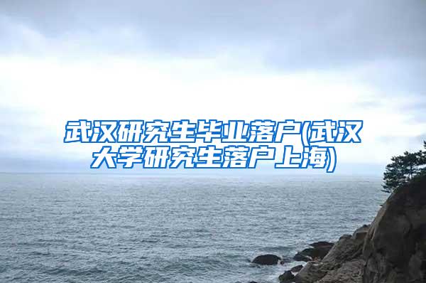 武汉研究生毕业落户(武汉大学研究生落户上海)