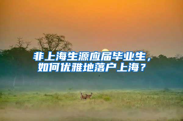 非上海生源应届毕业生，如何优雅地落户上海？