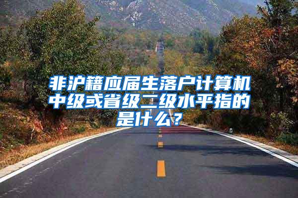 非沪籍应届生落户计算机中级或省级二级水平指的是什么？