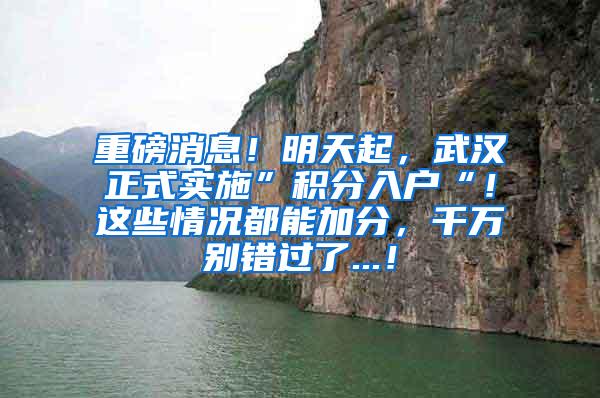 重磅消息！明天起，武汉正式实施”积分入户“！这些情况都能加分，千万别错过了...！