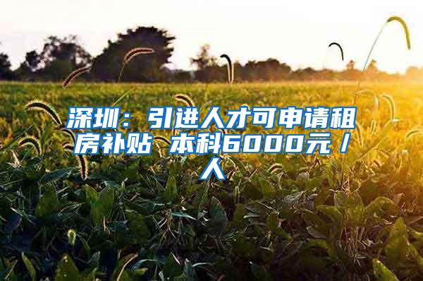 深圳：引进人才可申请租房补贴 本科6000元／人