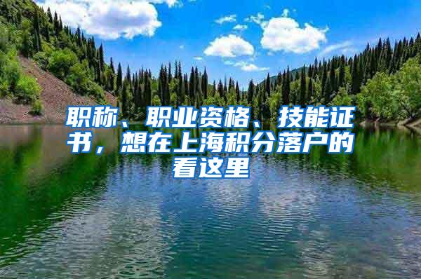 职称、职业资格、技能证书，想在上海积分落户的看这里