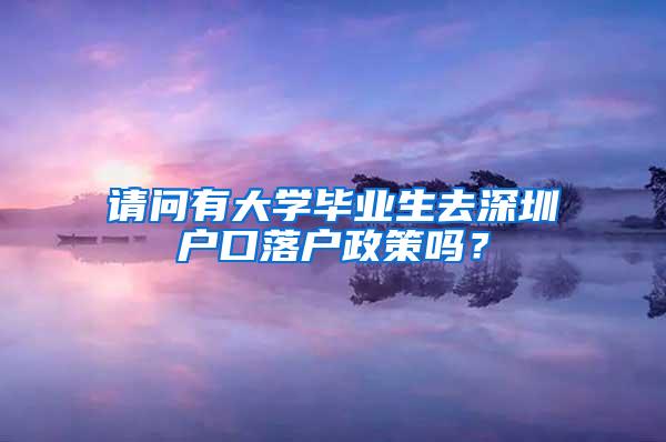 请问有大学毕业生去深圳户口落户政策吗？