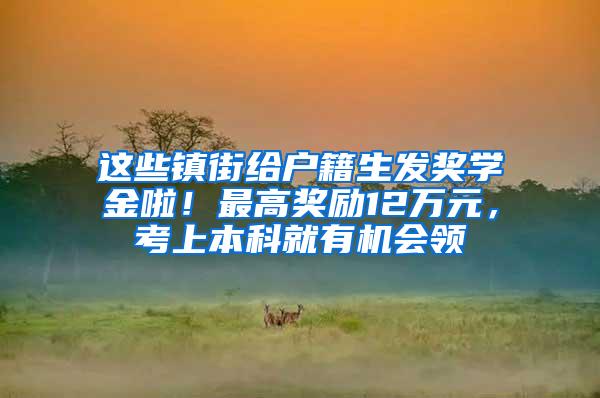 这些镇街给户籍生发奖学金啦！最高奖励12万元，考上本科就有机会领