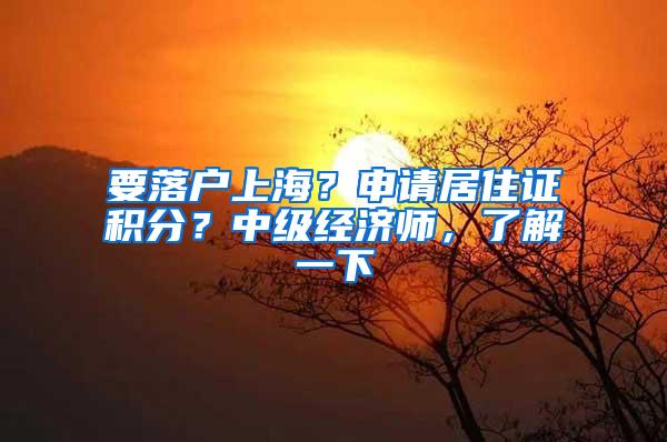 要落户上海？申请居住证积分？中级经济师，了解一下