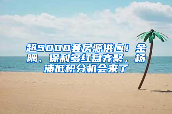 超5000套房源供应！金隅、保利多红盘齐聚，杨浦低积分机会来了