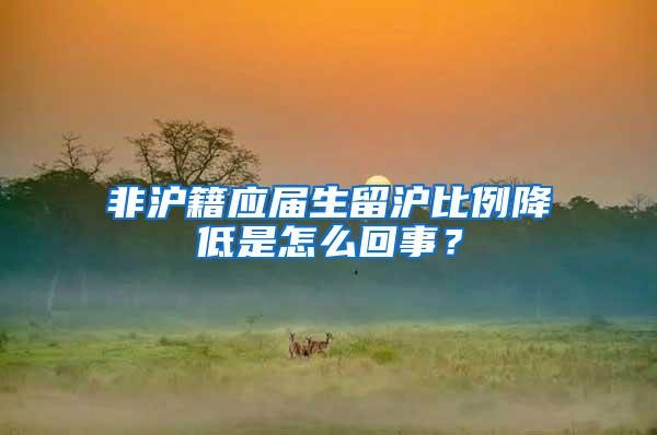 非沪籍应届生留沪比例降低是怎么回事？