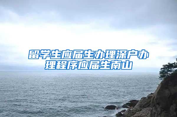 留学生应届生办理深户办理程序应届生南山