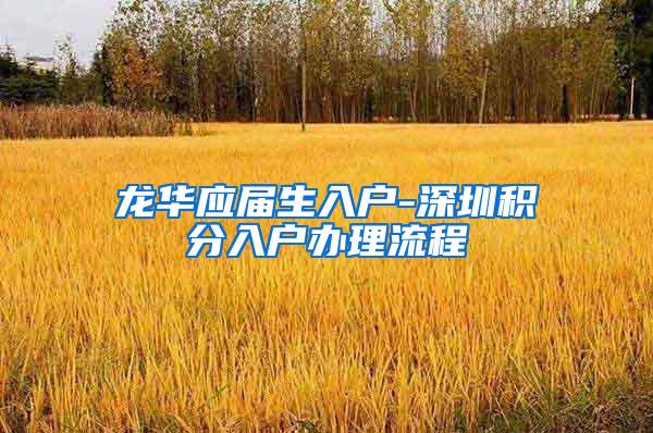 龙华应届生入户-深圳积分入户办理流程