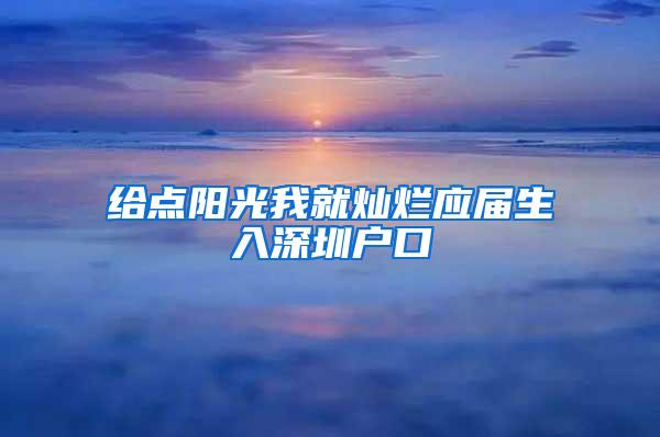 给点阳光我就灿烂应届生入深圳户口