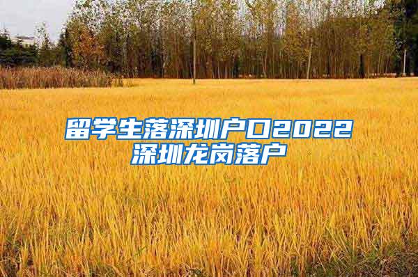 留学生落深圳户口2022深圳龙岗落户