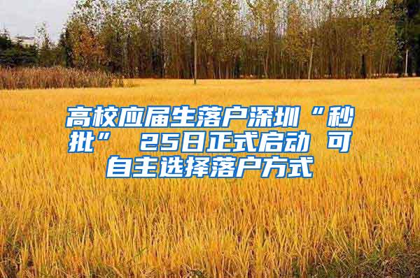 高校应届生落户深圳“秒批” 25日正式启动 可自主选择落户方式