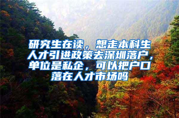 研究生在读，想走本科生人才引进政策去深圳落户，单位是私企，可以把户口落在人才市场吗