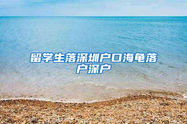 留学生落深圳户口海龟落户深户