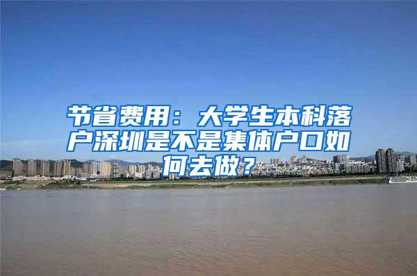 节省费用：大学生本科落户深圳是不是集体户口如何去做？