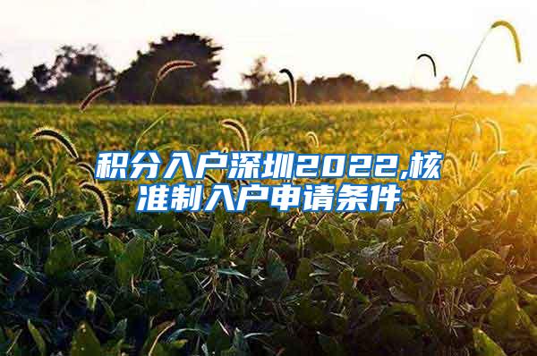 积分入户深圳2022,核准制入户申请条件