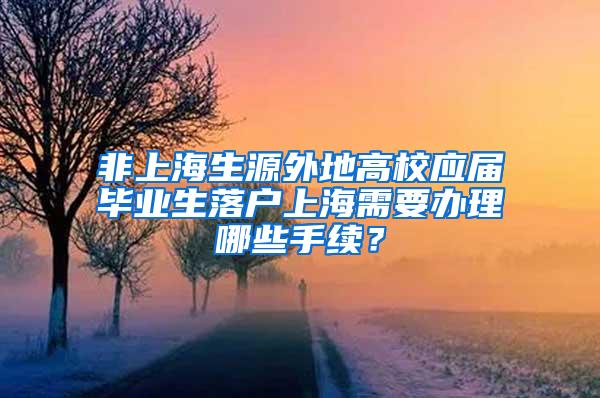 非上海生源外地高校应届毕业生落户上海需要办理哪些手续？