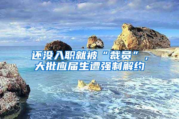 还没入职就被“裁员”，大批应届生遭强制解约