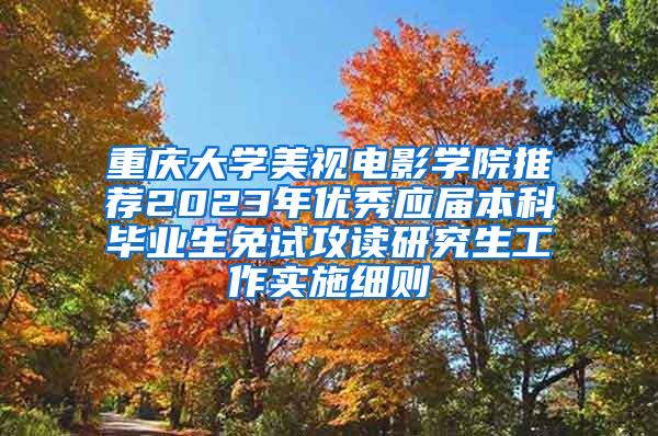 重庆大学美视电影学院推荐2023年优秀应届本科毕业生免试攻读研究生工作实施细则