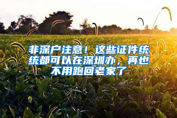 非深户注意！这些证件统统都可以在深圳办，再也不用跑回老家了