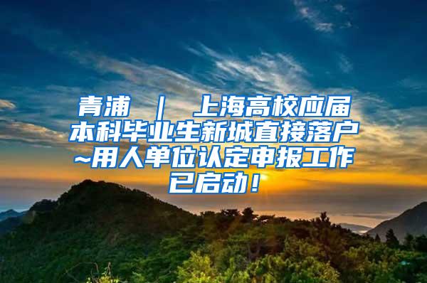 青浦 ｜ 上海高校应届本科毕业生新城直接落户~用人单位认定申报工作已启动！