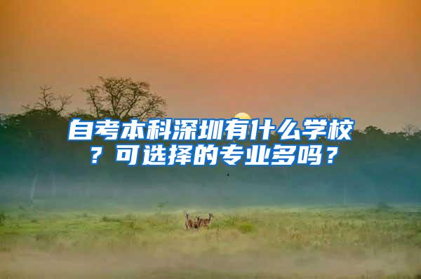 自考本科深圳有什么学校？可选择的专业多吗？