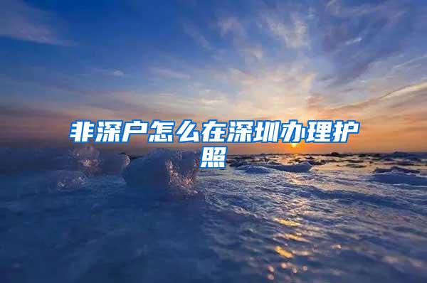 非深户怎么在深圳办理护照