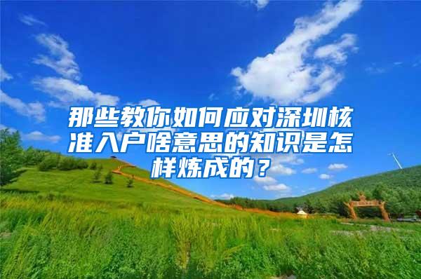 那些教你如何应对深圳核准入户啥意思的知识是怎样炼成的？