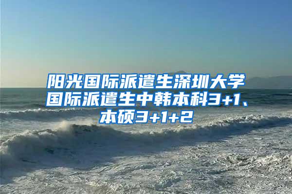 阳光国际派遣生深圳大学国际派遣生中韩本科3+1、本硕3+1+2