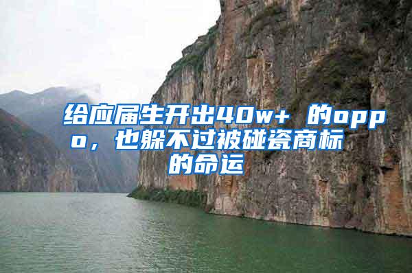 给应届生开出40w+ 的oppo，也躲不过被碰瓷商标的命运