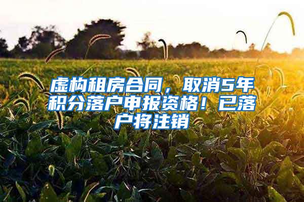 虚构租房合同，取消5年积分落户申报资格！已落户将注销