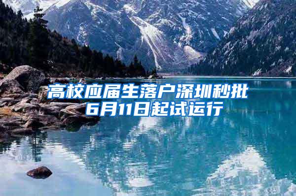 高校应届生落户深圳秒批 6月11日起试运行